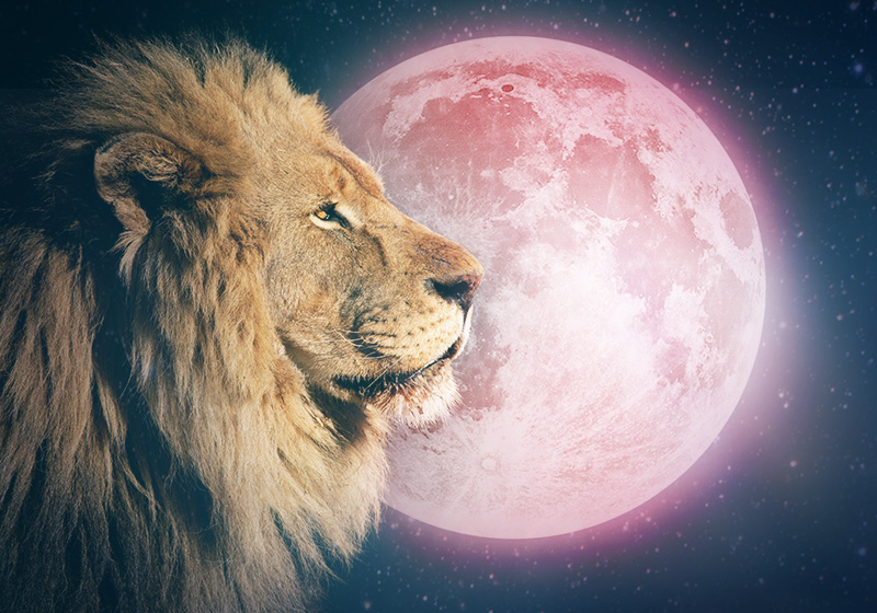 Lunar eclipse in Leo, Full Moon and Blue Moon all today! Learn more now!