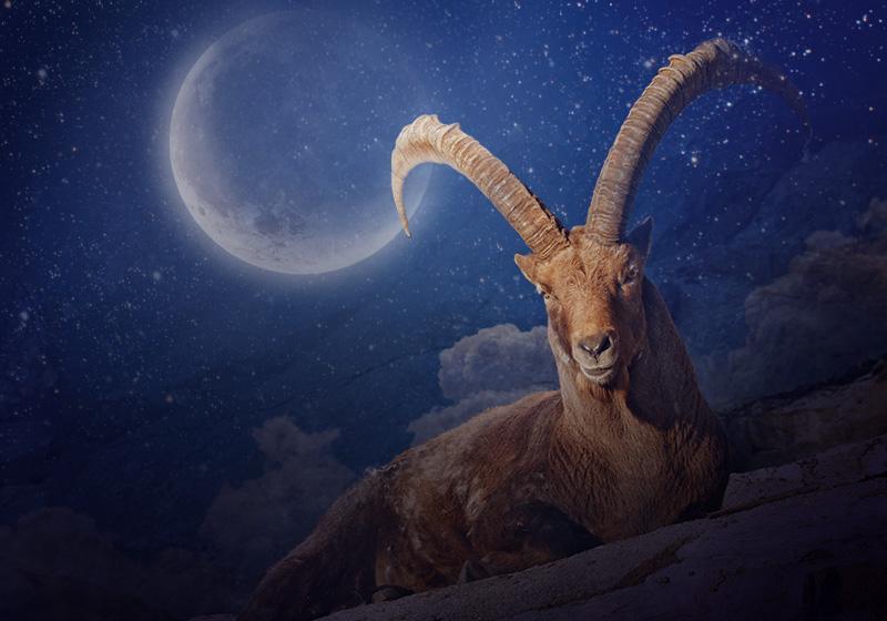 Capricorn New Moon on the 16th of January, peak of the Capricorn season